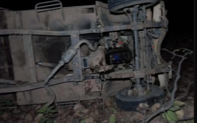 बारात मे माल वाहक वाहनों का उपयोग..पिकअप पेड़ से टकराया, एक की मौत, दो गंभीर