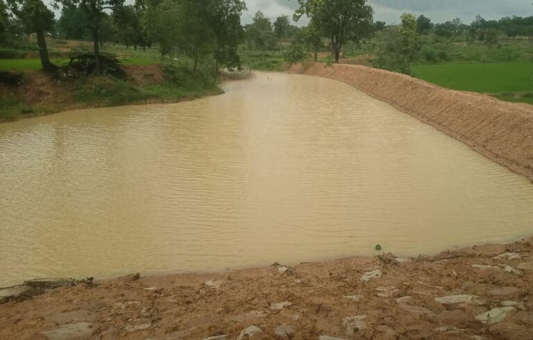 मिट्टी बांध और तालाब गहरीकरण से बदली किसानों की तस्वीर, सिंचाई के साथ बढ़ी आय की उम्मीद