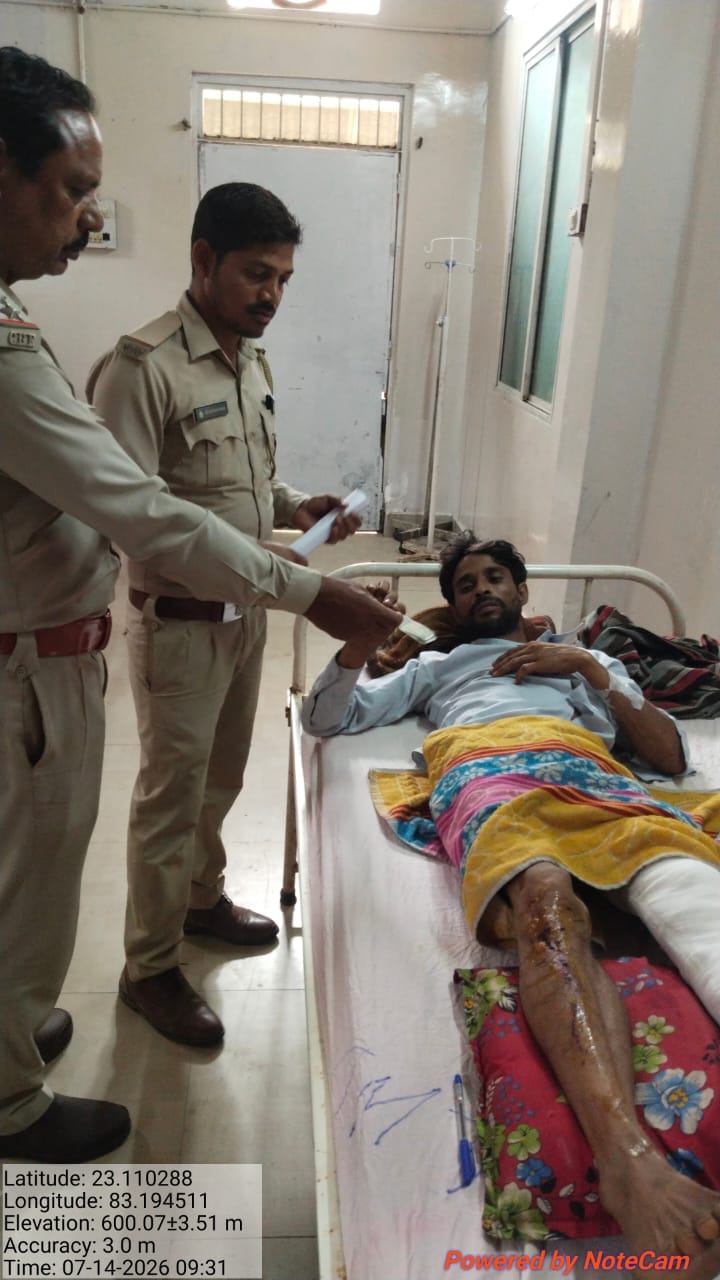 शौच के लिए निकले मजदूर पर हाथी का हमला