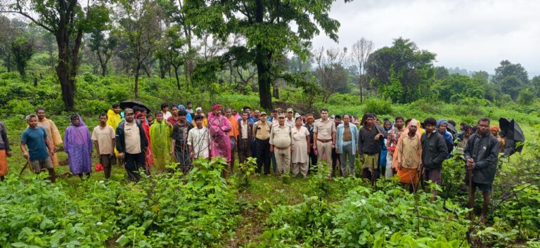 जशपुर वन मंडल की त्वरित कार्रवाई से वन भूमि पर अतिक्रमण का प्रयास विफल, 3 हेक्टेयर क्षेत्र में 5 000 पौधों का किया गया वृक्षारोपण