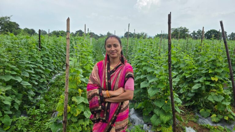 बिहान से मिली नई उड़ान, खेती से आत्मनिर्भर बनीं कल्पना सिंह आजिविका विभिन्न गतिविधियों से मिली लखपति दीदी की पहचान