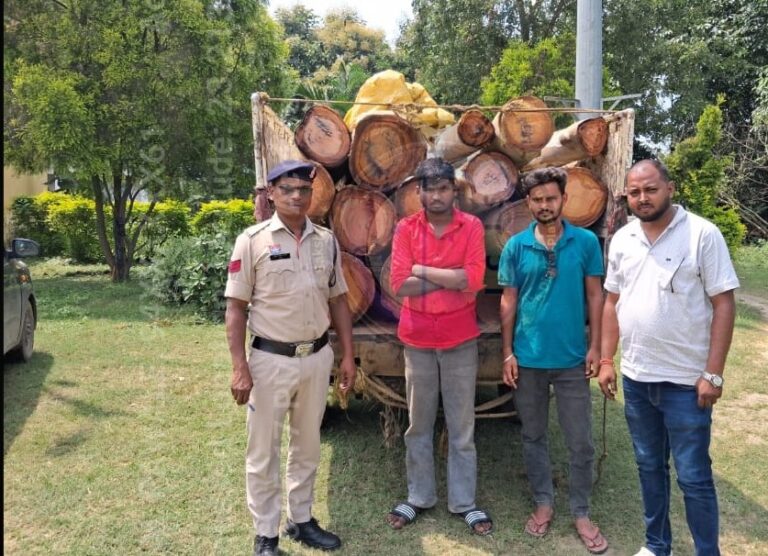 नीलगिरि लट्ठों से भरा  पिकअप समेत एक आरोपी गिरफ्तार