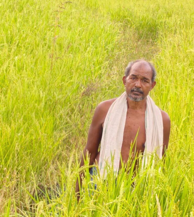 कृषक उन्नति योजना से शंकर प्रसाद को मिलेगा 45 हजार रुपये का लाभ, तीन एकड़ में की सुगंधित धान की खेती