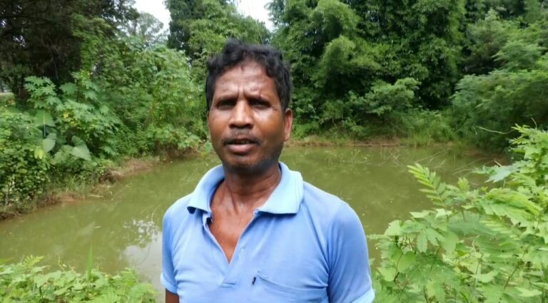 आजीविका डबरी से  लरंग   सहाय को मिला मछली पालन का सहारा, 15 से 20 हजार रुपये की मछली बेचकर अर्जित की आय खेत में डबरी निर्माण से खुली अतिरिक्त आमदनी की राह, मछली पालन से परिवार की आजीविका को मिल रही मजबूती