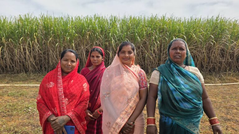 आजिविका गतिविधियों से् को मिली आर्थिक मजबूती, पांच एकड़ में गन्ने की खेती से बढ़ी आमदनी